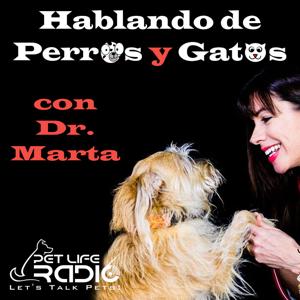 Hablando de Perros y Gatos con Dr. Marta on Pet Life Radio (PetLifeRadio.com)