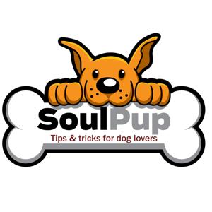 SoulPup: Tips & Tricks for Dog Lovers