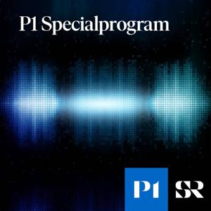 P1 Specialprogram by Sveriges Radio