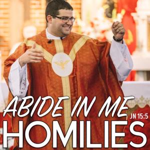 Abide In Me Homilies by Fr. JD Matherne