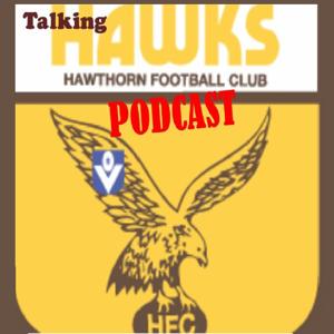 Talking Hawks