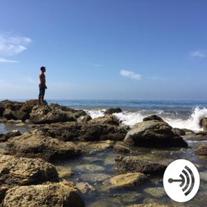 Ready, Player, Radio 📻