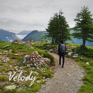 Velody: Wisdom Wandering