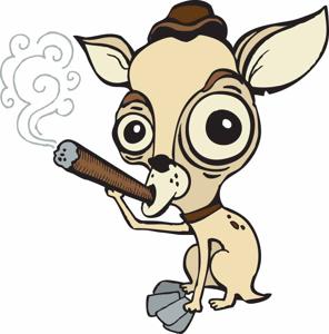 Tales of the Smoking Chihuahua
