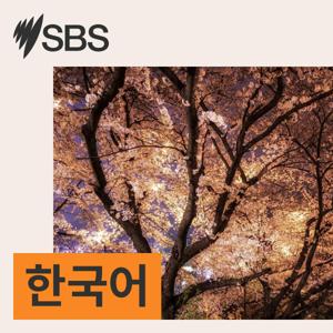 SBS Korean - SBS 한국어 프로그램 by SBS