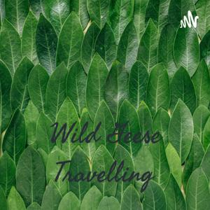 Wild Geese Travelling