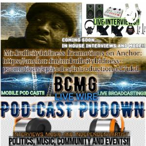 Mr.bullcitybidness Promotions