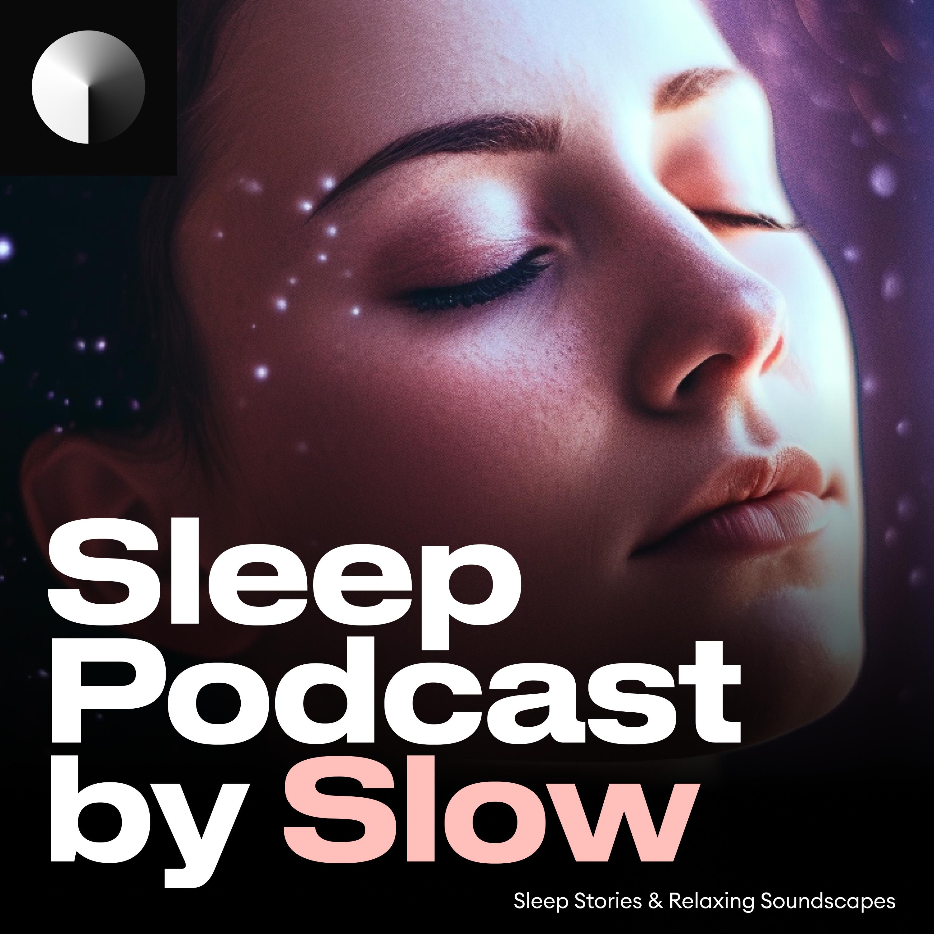 GRATITUDE SLEEP MEDITATION 🙏Open the Slow App to play the full version. Sweet dreams 😴
