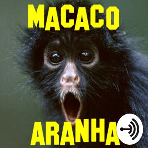 Macaco-Aranha