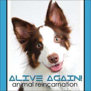 Alive Again - Pet Reincarnation on Pet Life Radio (PetLifeRadio.com) by Brent Atwater