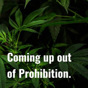 ⬆️Coming up out of Prohibition.⬆️