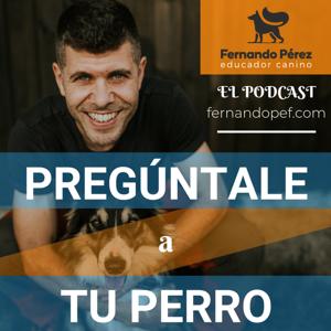 Pregúntale a tu perro