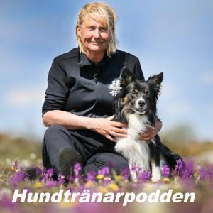 Hundtränarpodden by Maria Brandel