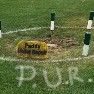 Paddy Under Repair