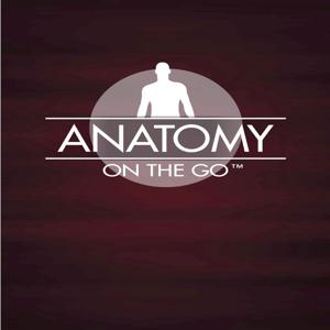 Anatomy On The Go by Seth Jump