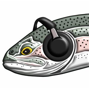 Fly Fishing 97 Podcast by Mark Hopley