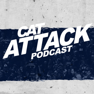 Cat Attack by K rock Football