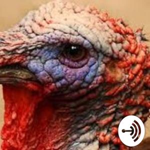 ARETE and You, a Fun & Enlightening podcast Series