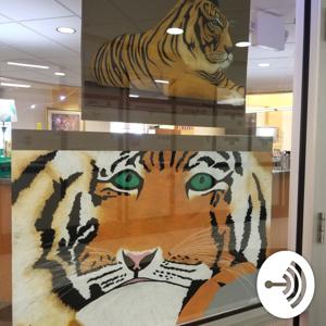 Tigers in the Library