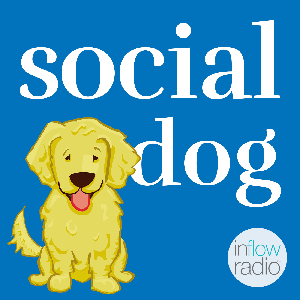 Social Dog by Cindie Carter