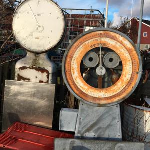 Særlige Sydhavnsstemmer