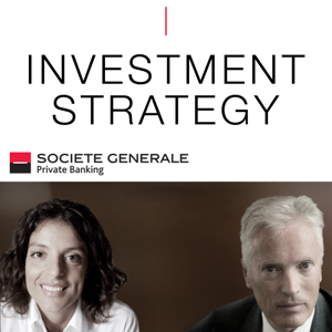 Investment Strategy