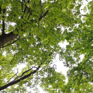 Notes On Refuge, Intuitive Public Radio