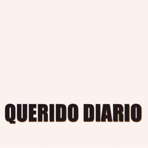 Querido diario