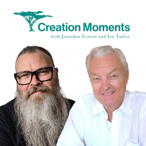 Creation Moments on Oneplace.com