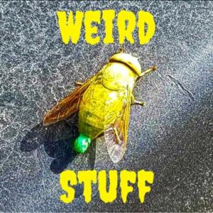 Weird Stuff Podcast