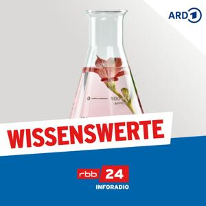 Wissenswerte by rbb24 Inforadio