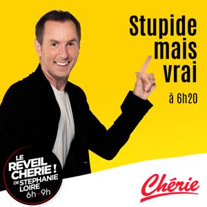 Stupide mais vrai