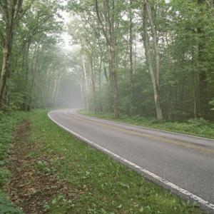 Following the Way