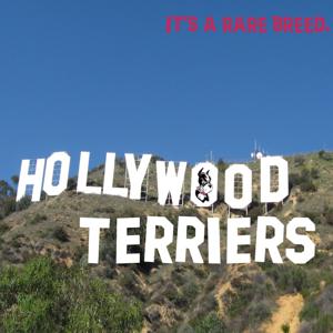 Hollywood Terriers