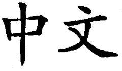 MCCS C5 Learning Cantonese