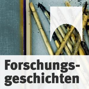 Forschungsgeschichten