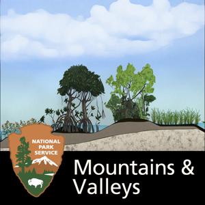 Everglades Mountains and Valleys by 