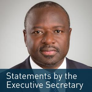 Statements by the Executive Secretary