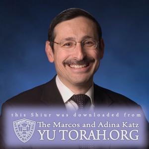 YUTORAH: R' Meir Goldwicht -- Recent Shiurim