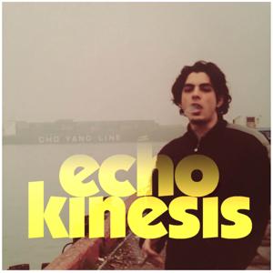 Echokinesis