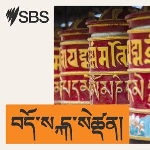 SBS Tibetan - SBS བོད་སྐད་སྡེ་ཚན།