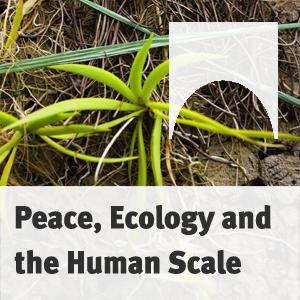 Peace, Ecology and the Human Scale: Leopold Kohr's Idea of Small Societies being Up-to-Date