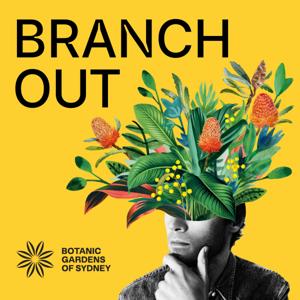 Branch Out