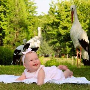 Мамина сказка