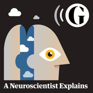 A Neuroscientist Explains by The Guardian