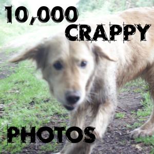 10,000 crappy photos