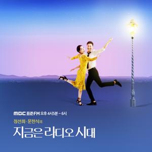 지라시 '법률 사무소 정&문' (종영)