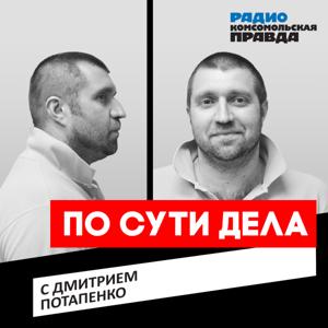 По сути дела. Дмитрий Потапенко