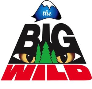 The Big Wild, Celebrating 17 Years on Air