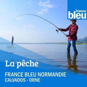 La chronique pêche FB Normandie  (Caen)